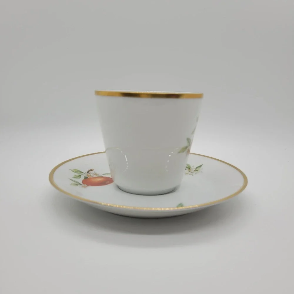 Hutschenreuther Noblesse Pasco Demitasse Cup Saucer Set Orange Gold Germany‎